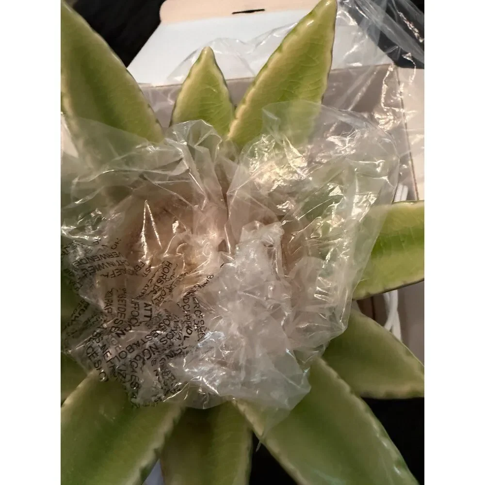Scentsy authentic aloe